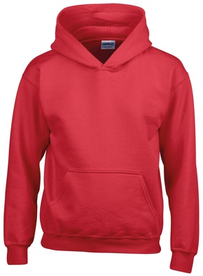 Heavy Blend Youth Hooded Sweatshirt